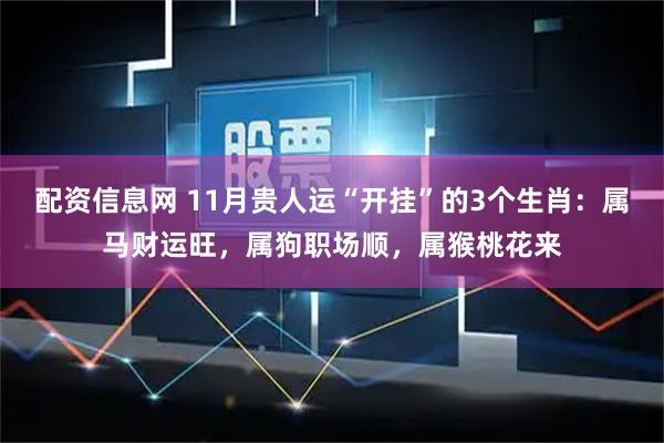 配资信息网 11月贵人运“开挂”的3个生肖：属马财运旺，属狗职场顺，属猴桃花来
